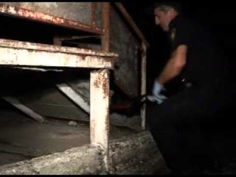 განცხადება