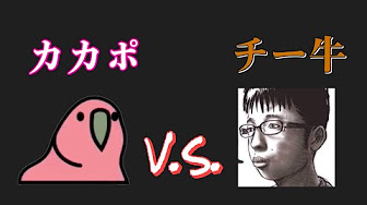 パーティーパロット Youtube