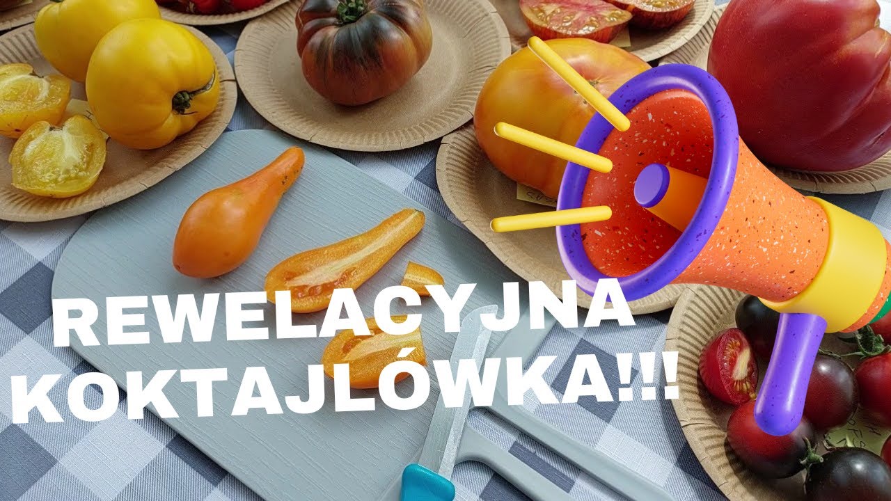 Wspaniała odmiana pomidora koktajlowego 😲 degustacja odmian 🍅