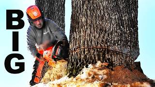 Celebrity FIREWOOD CUTTING..TOO MUCH FUN..YOU SHOULD HAVE BEEN HERE! Net Worth