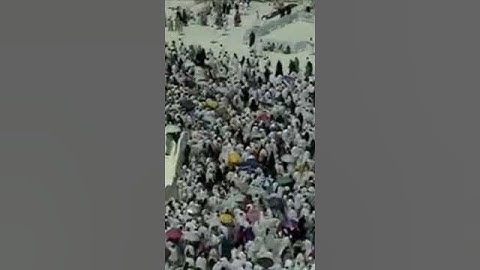 تلاوة ممتعة للشيخ صلاح سالم باعثمان من سورة الزخرف