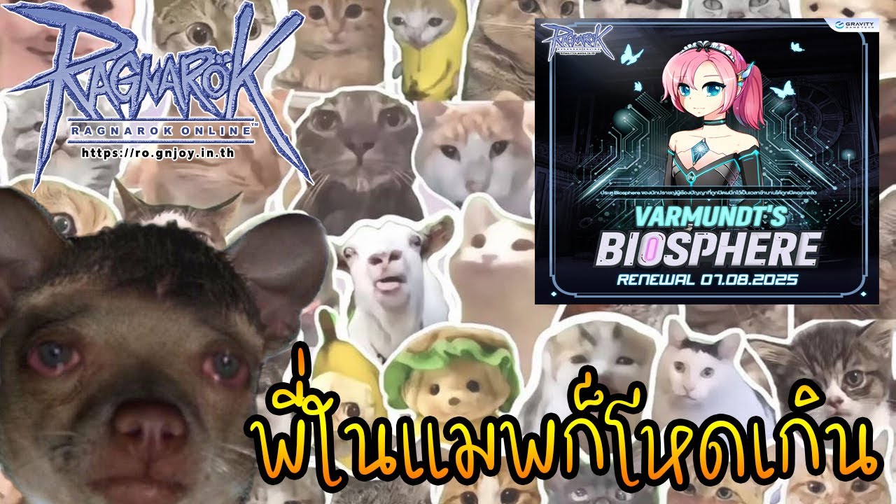 [RO_GGT]Hyper Noviceหัดเล่น วันหยุดยาวกับเกมดีๆ แมพฟาร์มดีๆ - YouTube