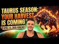 TAURUS 1-6TH April 2026 - Your fated Abundance Arrives