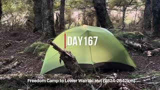 E114: 🇳🇿[테 아라로아(Te Araroa)] (DAY167) Freedom Camp to Lower Wairaki Hut (2824-2842km)