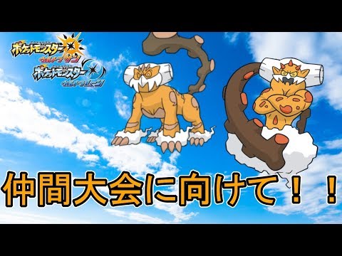 概要欄必読 仲間大会に向けて２４時までランドロス色違い厳選 ポケモンusum Youtube