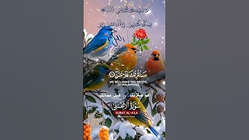 تلاوة خاشعة عطرة مباركة جميلة عذبة للشيخ ماهر المعيقلي ماتيسر من سورة الأعلى