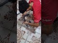 كيفية صنع حامل الملابس بأقل تكلفة 