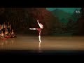 Giorgi potskhishvili frondoso variation from the ballet laurencia  tbilisi ballet festival