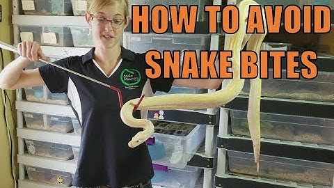How to Avoid Snake Bites!