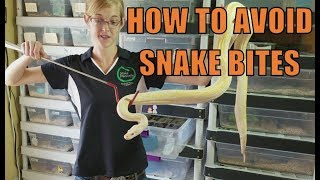 How to Avoid Snake Bites!