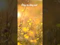 Days in and out #lyrics