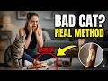 Your Lazy Cat Needs THIS to Stay Healthy