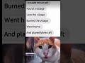 Cat meme