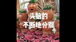 201509 头脑的不断地分别21614
