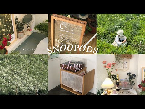 Snoopods diluar area | malang vlog | little korean cafe mlg | kebun bunga batu