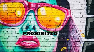 Solomun ◆ Stephan Bodzin ◆ Tale Of Us ◆ Boris Brejcha ◆ Maceo Plex ◆ Recondite | Prohibited Mix 2019