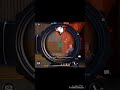FREE FIRE VIDEO| FREE FIRE GAMEPLAY #freefire #viral #garenafreefire #2024 #