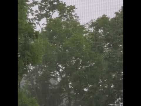 Rain Delay