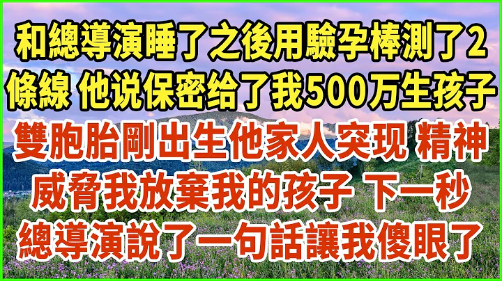 和總導演睡了之後用驗孕棒測了2條線！他說保密 給了我500萬生孩子！雙胞胎剛出生他家人突現！精神威脅我放棄我的孩子！下一秒總導演說了一句話讓我傻眼了！#生活經驗 #情感故事 #深夜淺讀 #幸福人生 - 天天要聞