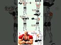 4 Best Shoulder Exercises for MASS | 3D Delts Workout