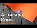 Агнисара крия. Теория и практика. Алексей Куяшов