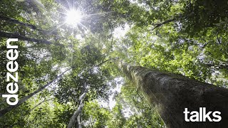Watch our talk with the Timber Trade Federation on the benefits of using tropical timber | Dezeen
