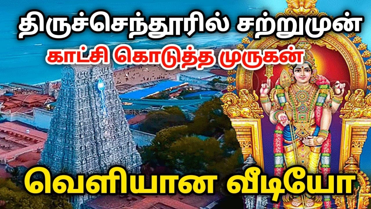 திருச்செந்தூரில் சற்று முன் காட்சி கொடுத்த முருகன் வெளியான வீடியோ !
