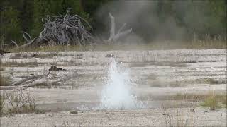 Green Bubbler Geyser (HD)