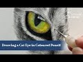 Drawing a cat eye in coloured pencil
