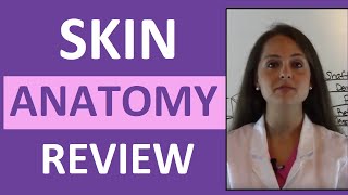 Anatomy & Physiology Integumentary Skin System Overview