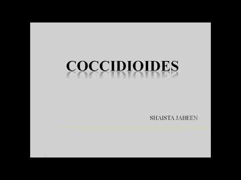 Coccidioidomycosis (3 का भाग 1)| आकृति विज्ञान, महामारी विज्ञान और Coccidioides Immitis का संचरण