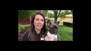 Black Fox Faculty - Missing Our Students