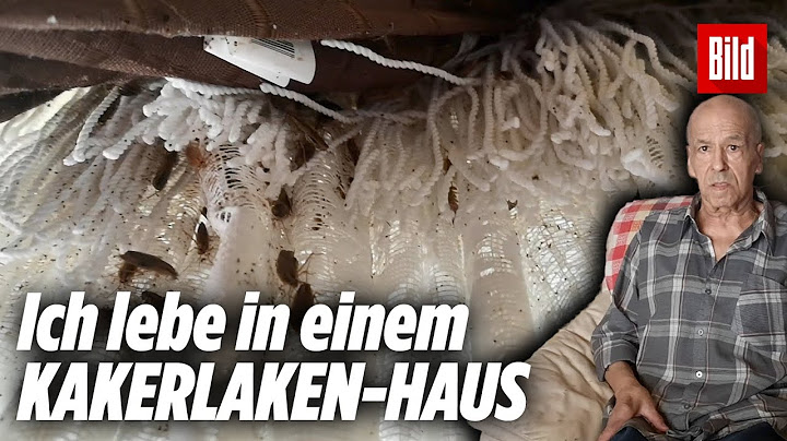 Kakerlaken in der Wohnung: Bei Heinz (70) lauert der Ekel in JEDER Ecke