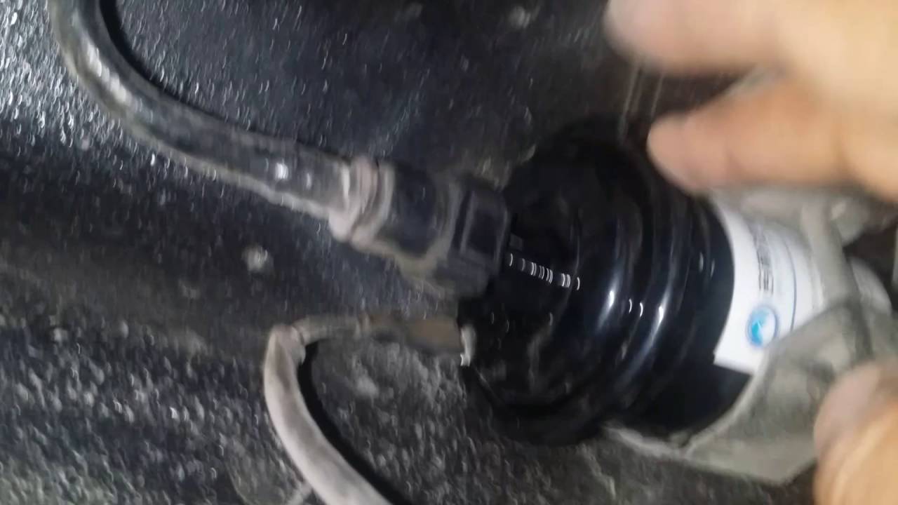 جيلى ايمجراند