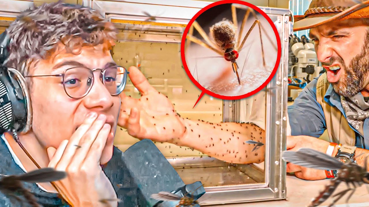 SE DEJÓ PICAR POR 1000 MOSQUITOS 🤯