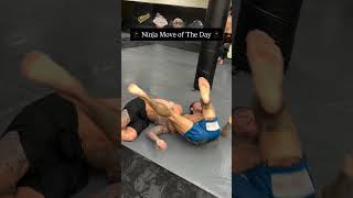 #bjj #jiujitsu #jiu #grappling #nogi #mma #ufc #jiujitsufighter #oss #bjjmotivation #nogijiujitsu