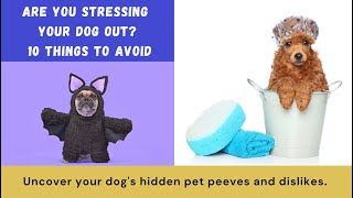 10 Things You Do That Your Dog Secretly Hates | Stop Making These Mistakes!