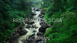 Tucumán en las alturas de Tafí