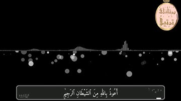 فيديو نادر لفضيلة القارىء الشيخ عبدالباسط عبدالصمد رحمه اللّٰه وما تيسر من سورة النساء مقطع ١/٢
