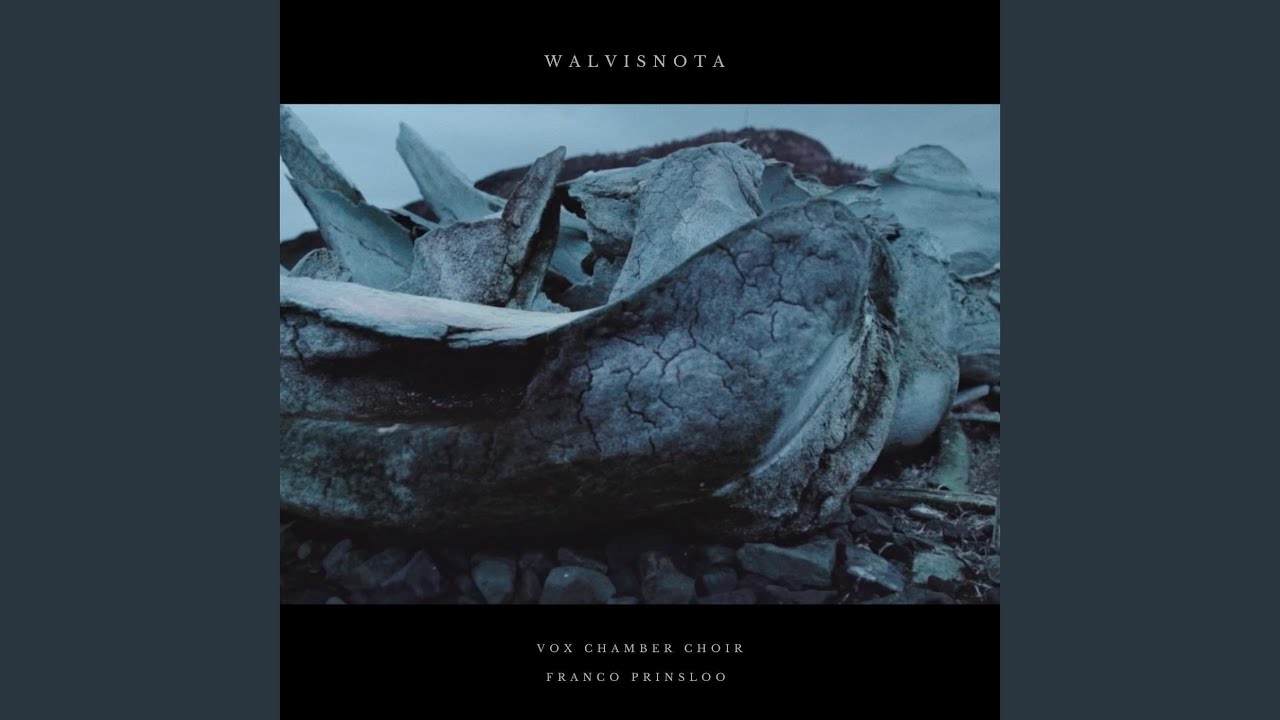 Watch Walvisnota on YouTube Watch Walvisnota on YouTube