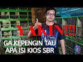 Burung Unik Yang Hadir Di Kios Sbr Pasar Burung Pramuka Samyong Cipo Kembang Cucak Rowo Papua Mp3 - Mp4 Download