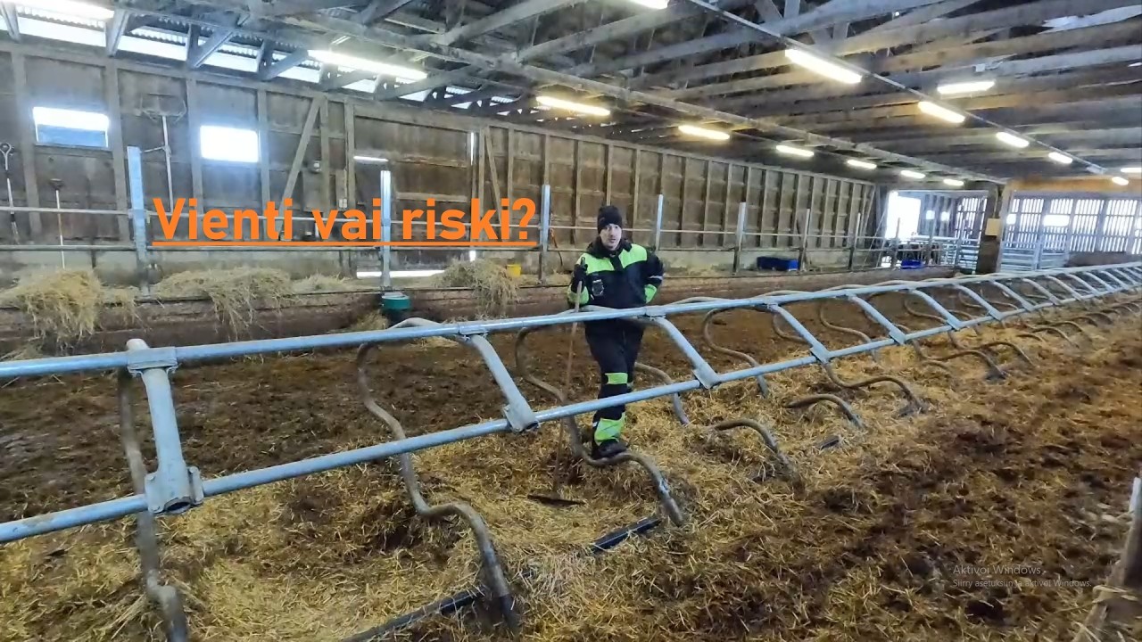 Nautojen vienti – Mahdollisuus vai uhka suomalaiselle lihantuotannolle?