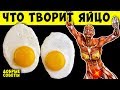 Вот что Будет если Кушать по 2 яйца Каждый день