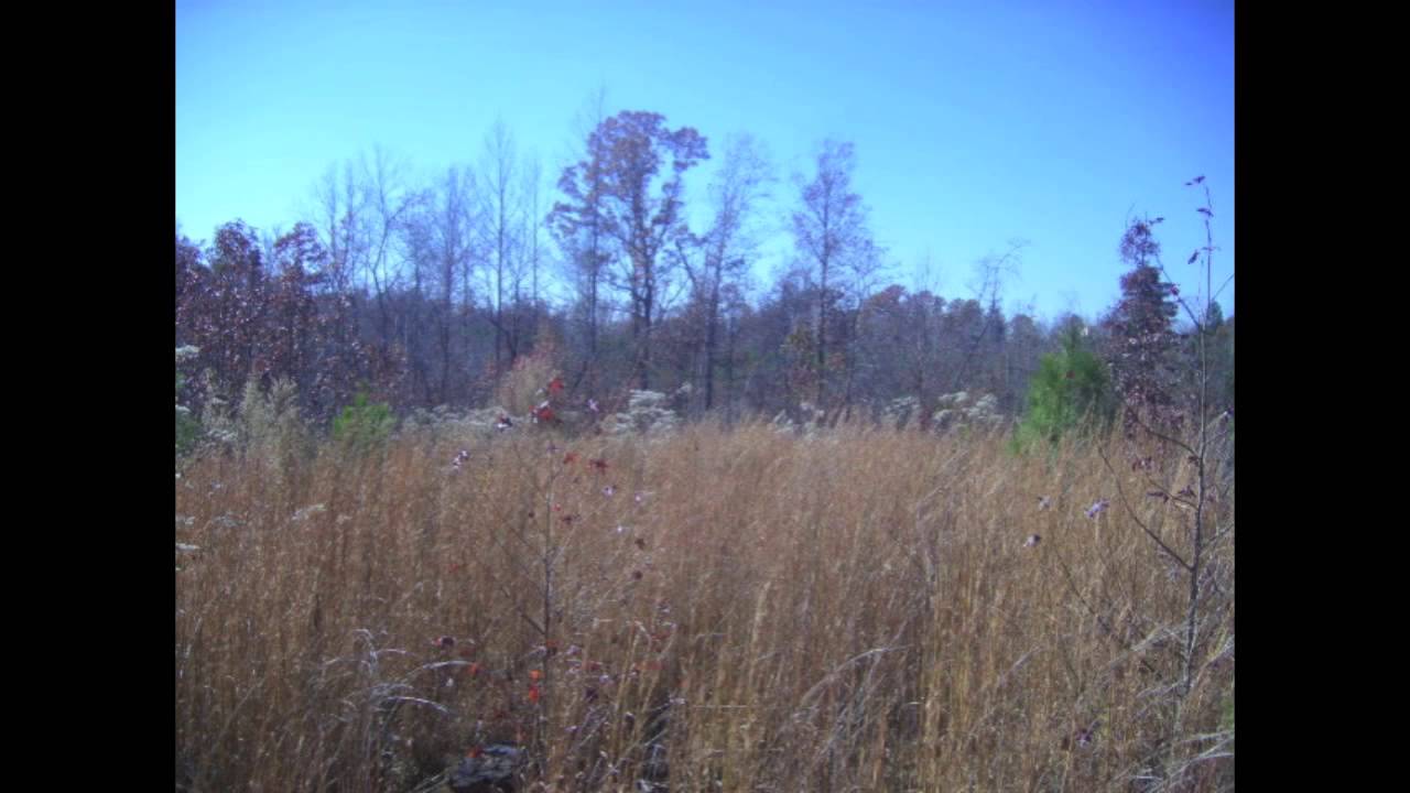 Land In Tennessee for 18,600 With 100 Financing CHTR3 YouTube