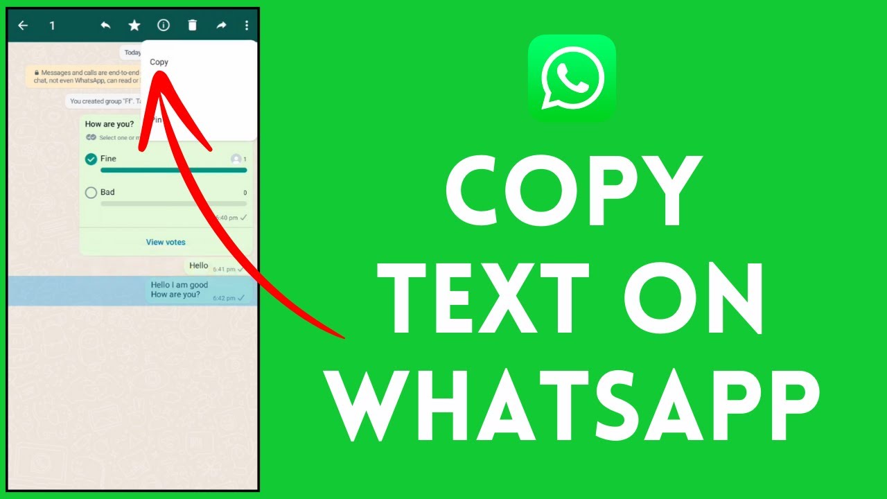 How to Copy Text in WhatsApp? 2024 - YouTube
