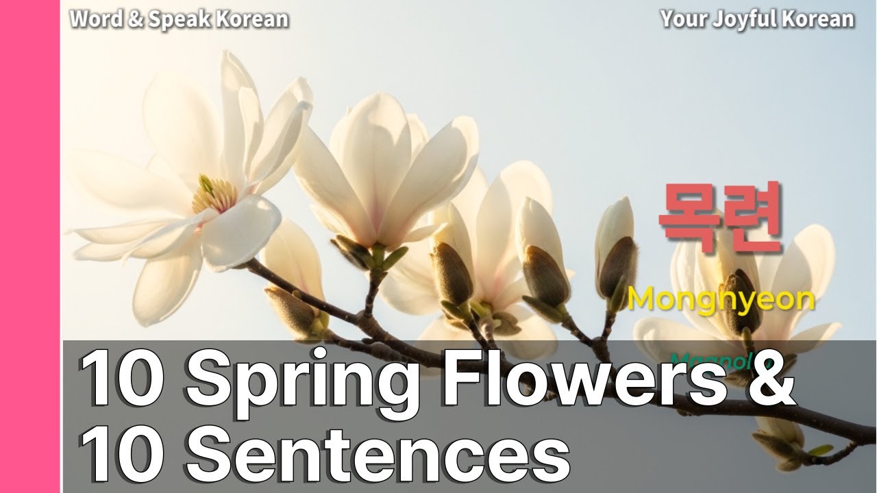 🇷🇺 🌸 Не говори просто «Kkot»! 🌸 10 настоящих весенних цветов Кореи | Word & Speak Korean #2