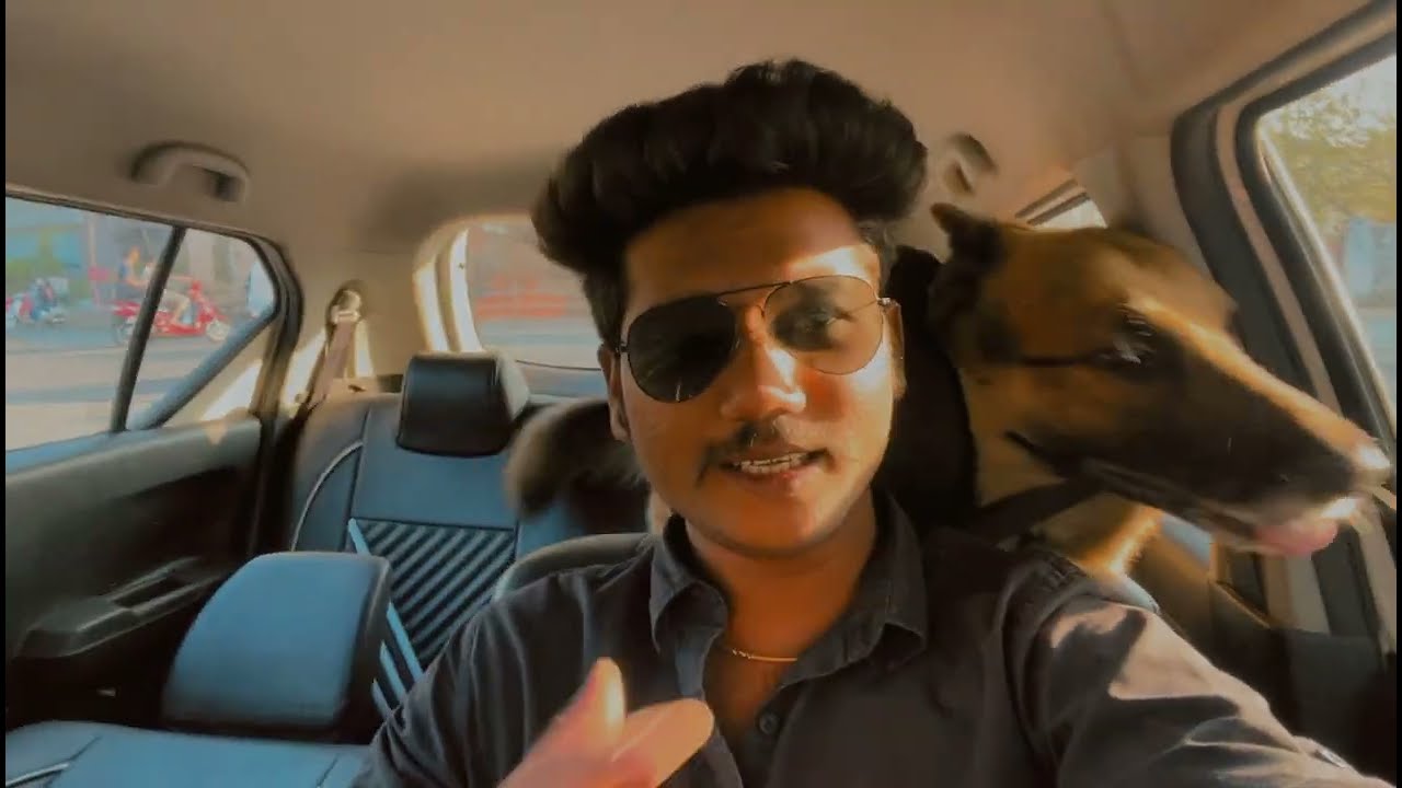 Part-2 | Tiger ke saath market | Tiger ke fayde | Pet Shop | #trending #vlog #pets #germanshepheard 