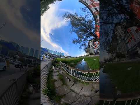 Subang Jaya 🇲🇾 #malaysia #travel #trending #trendingshorts #viral #viralvideo #viralshorts