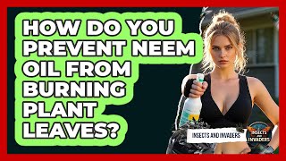 How Do You Prevent Neem Oil From Burning Plant Leaves Insects and Invaders