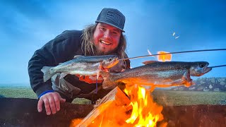 TROUT Fishing CAMPFIRE Catch & Cook ADVENTURE!